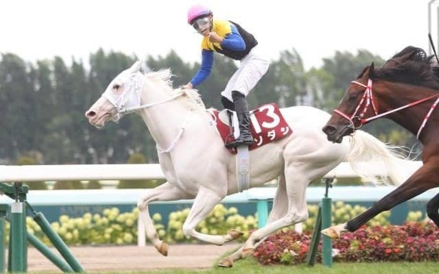 【札幌記念予想オッズ】前年覇者ソダシが予想1番人気