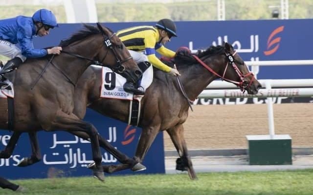 28日に仏G2出走、海外3連勝狙うステイフーリッシュがフランスに到着 「飛行機での輸送も慣れています」