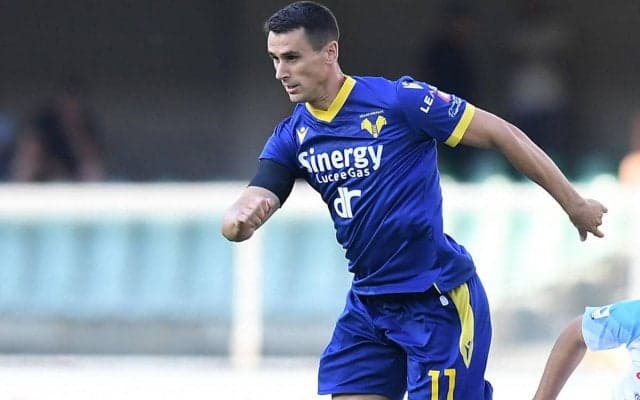 ゴールを祝おうとしただけなのに…ヴェローナFWが味方のエルボー顔面直撃で出血ノックアウトの不運