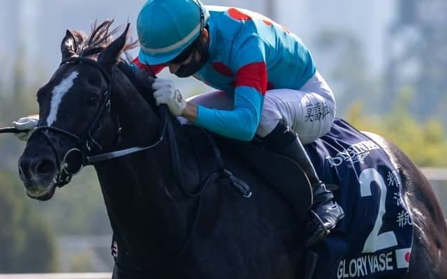 【札幌記念】メジロの『栄光』は未だ健在 グローリーヴェイズが札幌に初参戦