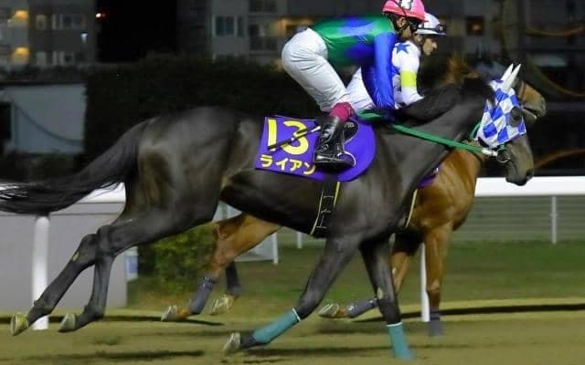 【大井・黒潮盃注目馬】多士済々なメンバー集う3歳重賞、灼熱の大井で熱戦期待