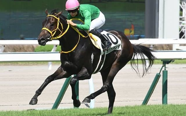 【次走】オバケノキンタはひまわり賞へ 九州産馬限定未勝利戦を上がり最速で快勝した熊本県産馬が連勝を狙う
