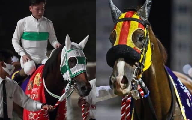 【川崎・スパーキングサマーC】アランバローズ、ワイドファラオ、タイムフライヤー、グレンツェントなど登録馬発表