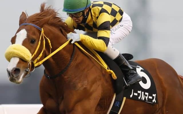 2018年宝塚記念3着馬ノーブルマーズ、引退馬再就職支援プログラムへの受け入れが決定