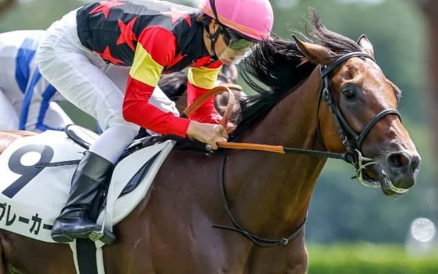 【次走】サイブレーカーは京都2歳Sへ 今年の米G1・フロリダダービー覇者の近親にあたる米国産馬