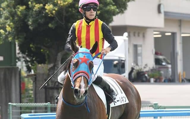 【次走】トールキンはカンナSへ 小倉芝1200mを前半3F32.9秒のペースで悠々逃げ切り