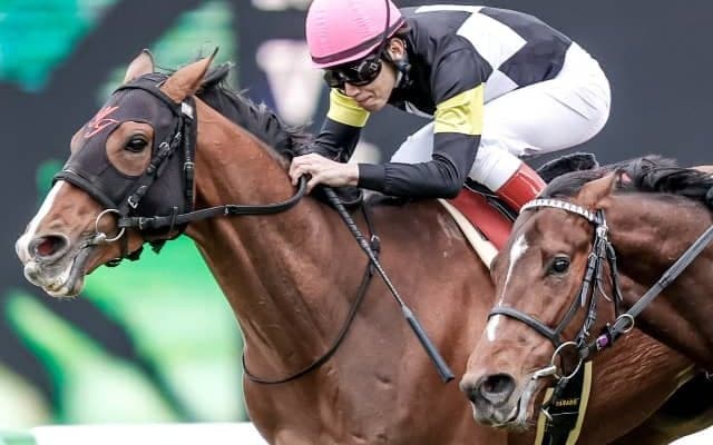 【次走】日本ダービー3着馬アスクビクターモアが16日に帰厩　始動戦はセントライト記念