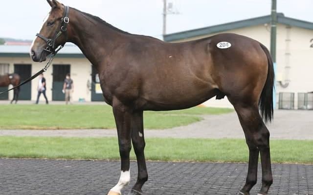 売り上げが前年比大幅増となったセレクションセール