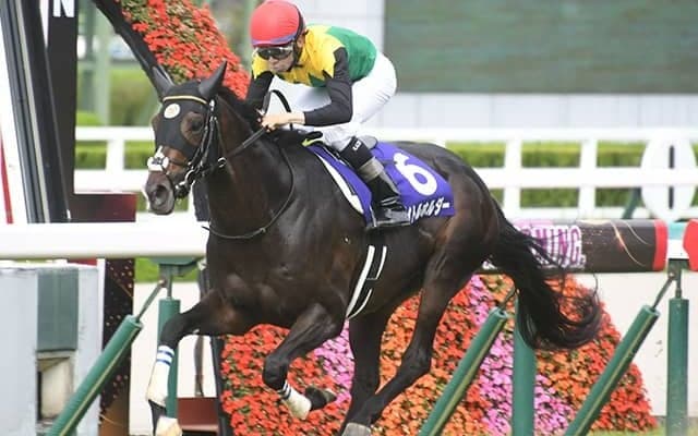 タイトルホルダーが仏G1・凱旋門賞に向けて来週末帰厩 単勝1番人気の最有力候補がついに始動