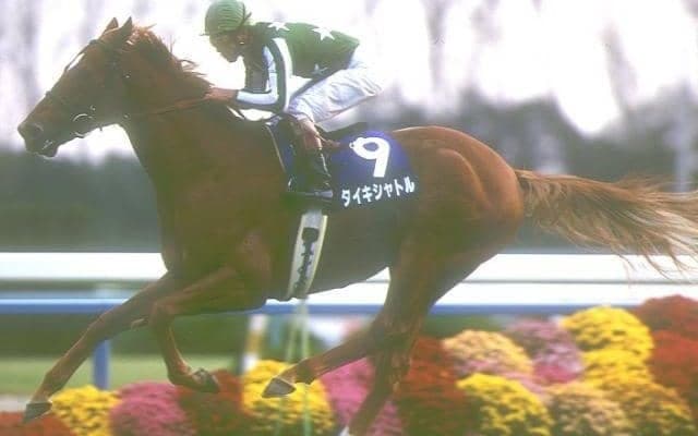 【JRA】タイキシャトル追悼関連行事を実施