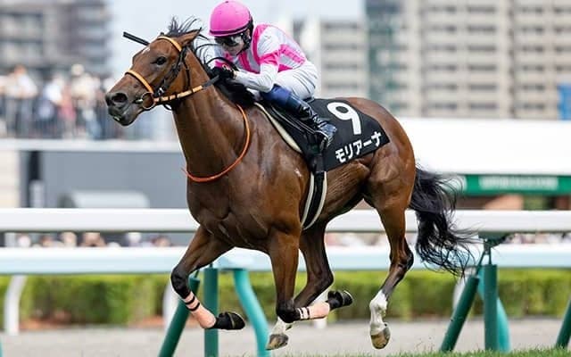 【次走】モリアーナは阪神JF直行 遊ぶ余裕を見せて完勝の大物が2歳女王の座を狙う
