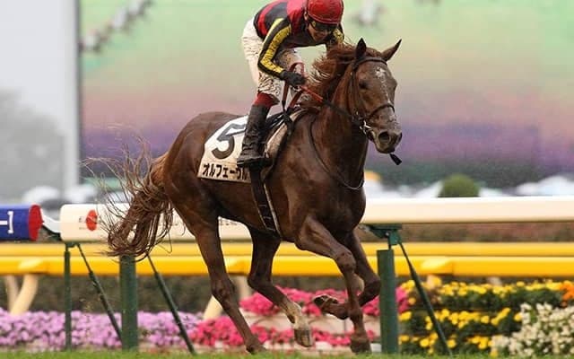 オルフェーヴルやコントレイルに会える！ ノーザンホースパークが1日30名限定の見学バスツアーを3年ぶりに開催