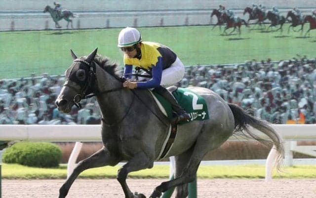 【小倉記念】マリアエレーナが5馬身差の圧勝