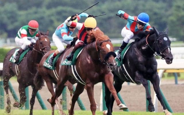 【関屋記念】ウインカーネリアンが重賞初制覇