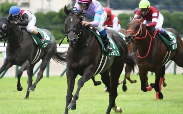【北九州記念枠順確定】ナムラクレアは8枠16番、タイセイビジョンは2枠3番