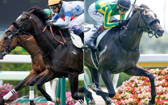 【次走】豪G1馬の仔フミサウンド、エテルナミノルの半弟サトノヴィレは秋の東京開催へ