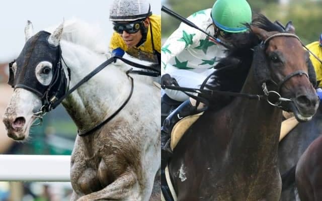 【札幌記念予想】血統から導き出せる本命馬◎は？　純然たる〇〇産駒に期待