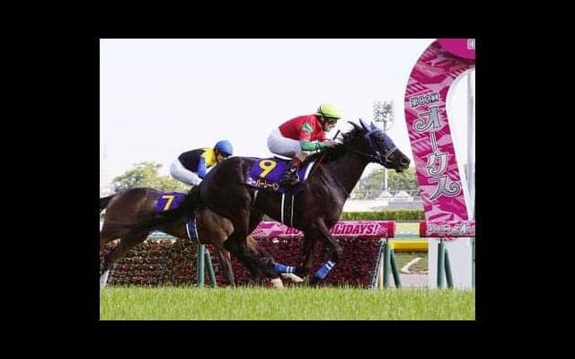 札幌記念は快速馬たちの後ろで構えるソダシが中心も、同じ４歳牝馬の女王に一発の可能性