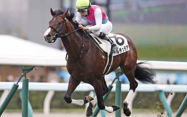 【札幌5R新馬戦結果】アユサンの仔ドルチェモアが危なげなく逃げ切る