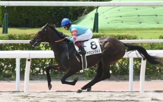【小倉6R新馬戦結果】ヤマニンウルスがレコードで大差圧勝　今村聖奈騎手は通算31勝目でGI騎乗可能に