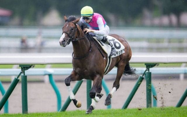 【新馬/札幌5R】ドルチェモアが3馬身差完勝 V