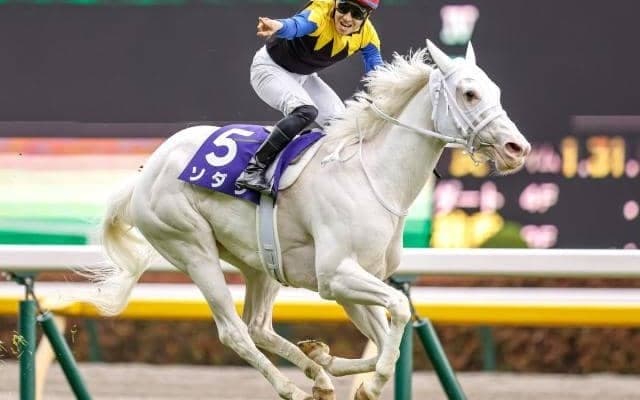 【今日の注目ポイント】札幌記念でソダシら好メンバー激突　小倉では北九州記念