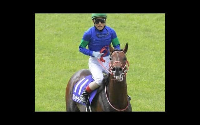 札幌記念に豪華メンバーが集結。穴党記者が夢見るのは舞台合う実績馬２頭の逃走劇