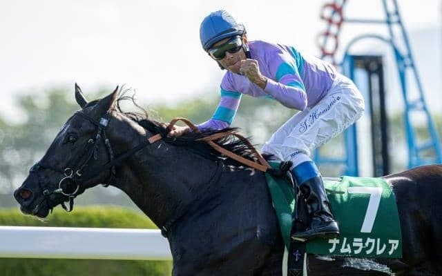 【北九州記念予想】サマースプリントシリーズ第4戦、波乱含みの傾向に終止符か？