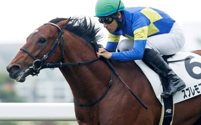 【次走】函館2歳Sで単勝1番人気のスプレモフレイバーは9月のすずらん賞で巻き返しを狙う