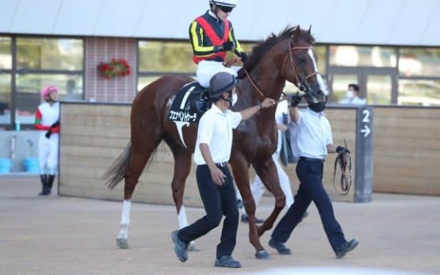 8月20日・21日の競走中止、除外、疾病の一覧 ナオミラフィネ落馬など/札幌・新潟・小倉