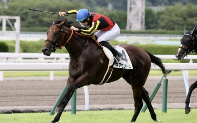 【小倉2R】断然人気 ネアセリーニが初勝利