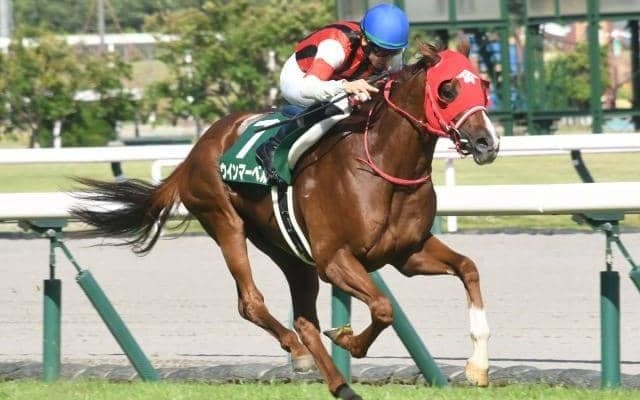 重賞は新潟2歳S、キーンランドCなど　WASJが3年ぶりに開催/今週の競馬界の見どころ