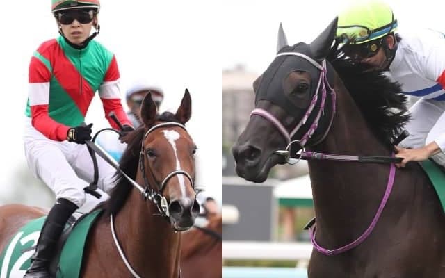 【キーンランドC】リピーター好走多数も連覇はゼロ　馬齢問わずスペシャリストが輝く札幌の電撃戦