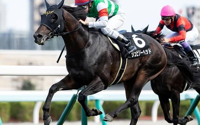 【AI予想・キーンランドC】北海道でパーフェクト連対！ 洋芝でこそ狙える充実一途の妙味馬とは