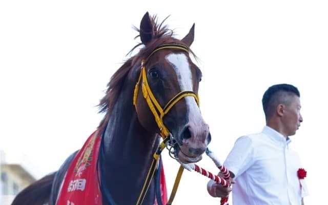 控える競馬で結果を出したジャックドール　単なる勝利以上に収穫のあった札幌記念