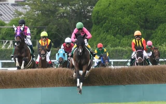 【小倉サマージャンプ想定騎手】アサクサゲンキは石神深一騎手、サトノパシュートは高田潤騎手