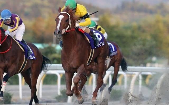  【川崎・スパーキングサマーC枠順確定】岩手所属のヴァケーションは7枠11番、昨年の東京ダービー覇者アランバローズは4枠6番