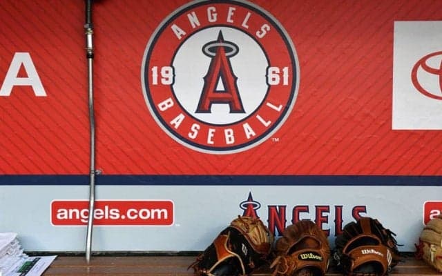 【MLB】エンゼルス買うなら誰？　本拠移転はあるのか　地元紙回答…売却巡る“6つの疑問”