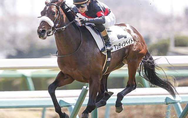 アンティシペイトは福島記念へ 札幌記念はソダシやグローリーヴェイズに次ぐ7着