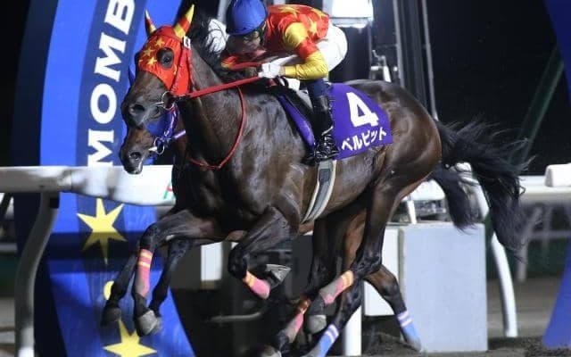 【門別・サッポロクラシックC結果】ベルピットが無傷4連勝で重賞連勝、角川秀樹厩舎の上位独占