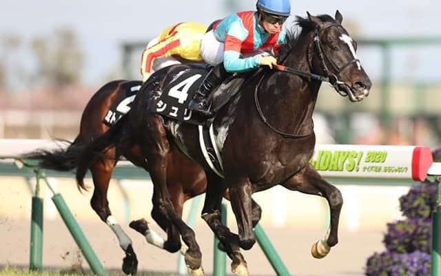 【次走】関屋記念2着シュリは京成杯AHへ 12番人気を覆す好走見せた素質馬が重賞狙う