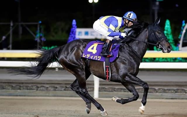 【佐賀・サマーチャンピオン注目馬】文字通り“夏の王者”を決めるダートグレード競走