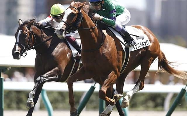 【次走】インスタキングは放牧へ 武豊騎手×蛯名正義厩舎コンビ初の新馬勝ち