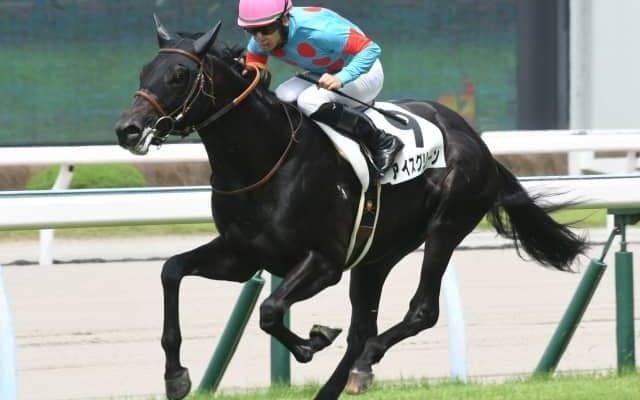 【新潟2歳S出走馬・騎手確定】ロードディフィート＆田辺裕信騎手、アイスグリーン＆坂井瑠星騎手など11頭