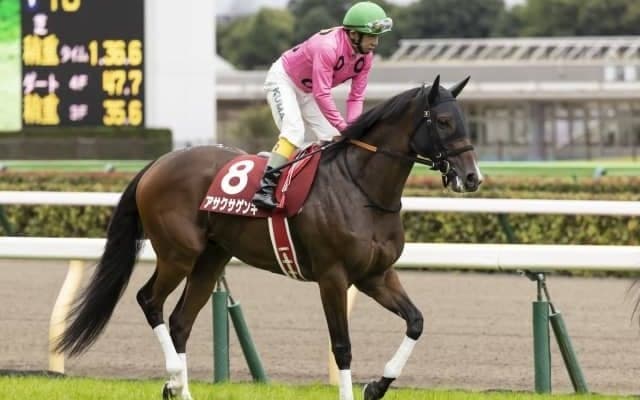 【小倉サマージャンプ出走馬・騎手確定】アサクサゲンキ＆石神深一騎手、シャイニーゲール＆小牧加矢太騎手など13頭
