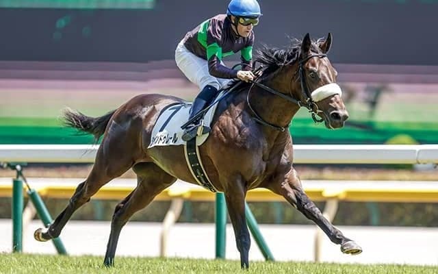 【札幌2歳S】新馬戦ノーステッキ快勝のシャンドゥレールが1週間前追い切り　国枝師「いいものを持っているよ」