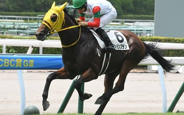 小倉新馬戦勝ちロンドンプランが1週間前追い切り 重賞馬に先着し貫禄十分