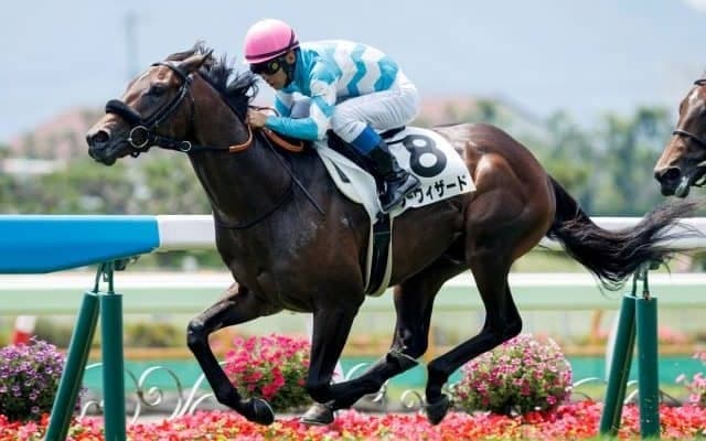 【新潟2歳S枠順確定】ロードディフィートは2枠2番、シーウィザードは7枠8番