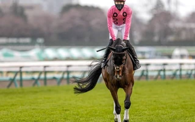 【小倉サマージャンプ枠順確定】アサクサゲンキは6枠9番、シャイニーゲールは4枠5番