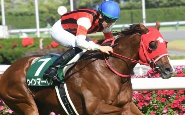 【キーンランドC枠順確定】ウインマーベルは3枠5番、ジュビリーヘッドは5枠9番